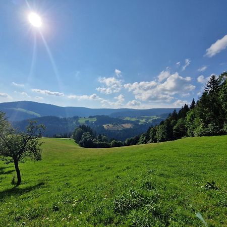Turisticna Kmetija Ramsak Villa Zreče Exterior foto